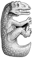 image: design elements